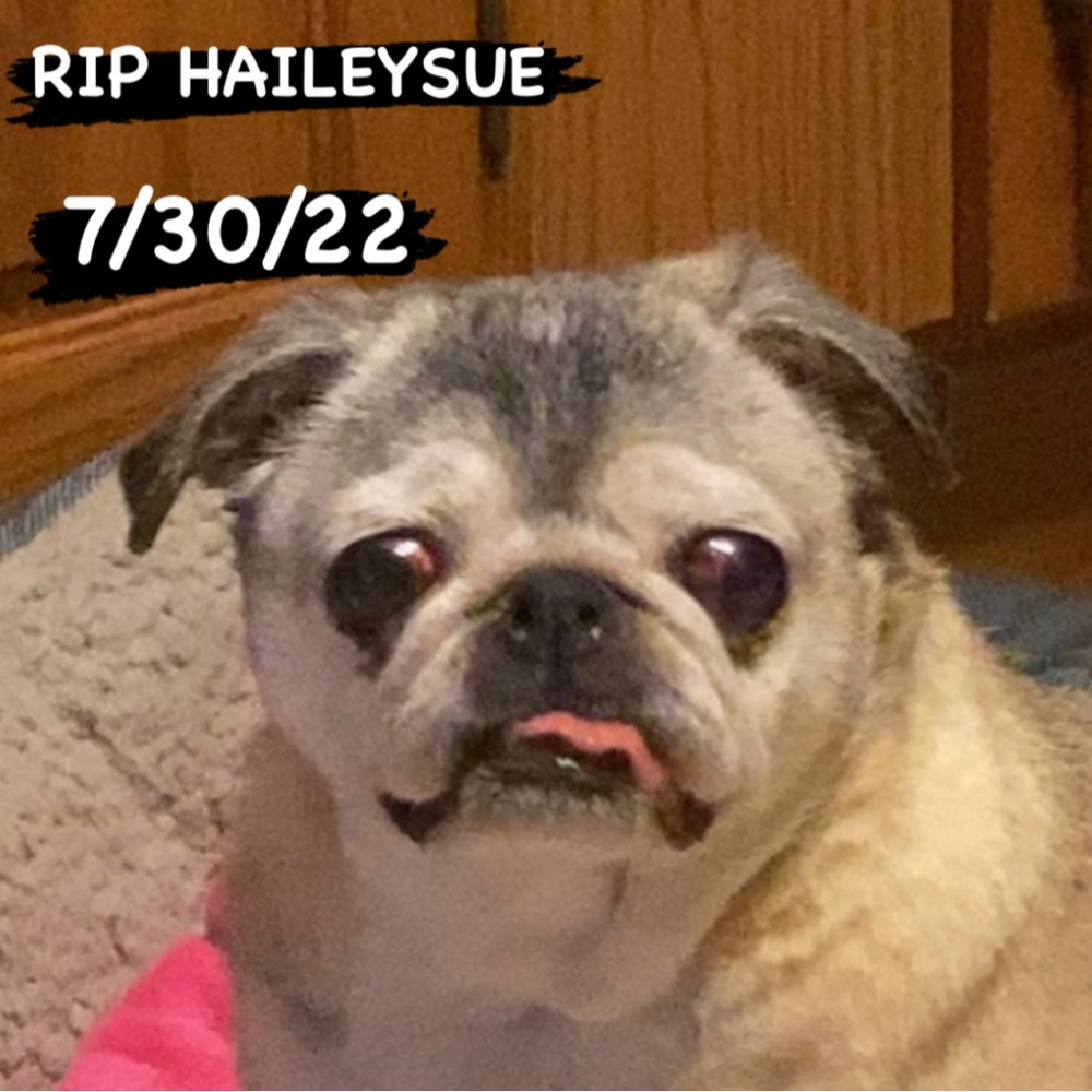 Haileysue